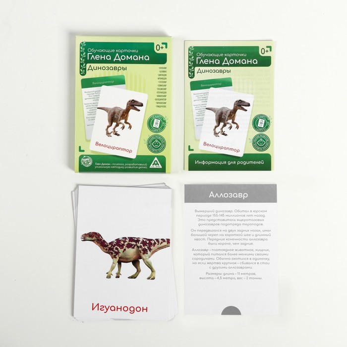 Обучающие карточки по методике Глена Домана Динозавры 4850742 (Вид 3)