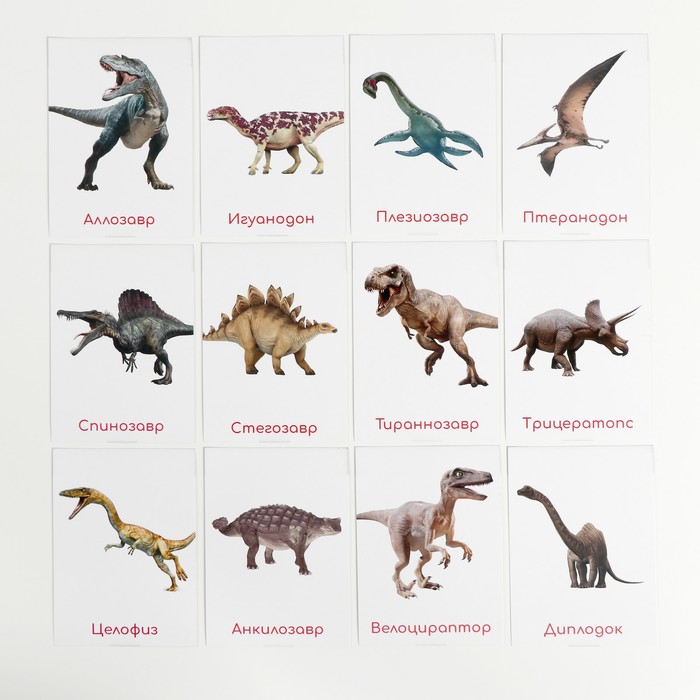 Обучающие карточки по методике Глена Домана Динозавры 4850742 (Вид 4)