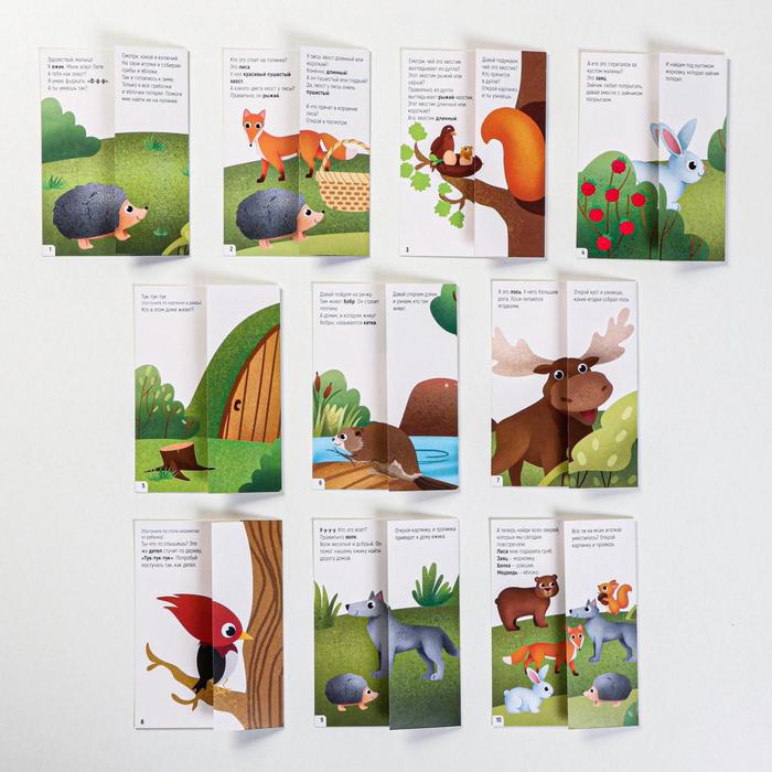 Серия обучающих карточек Запуск речи. Что происходит в лесу?, 2+, А5, 10 карт 5059399 (Вид 4)
