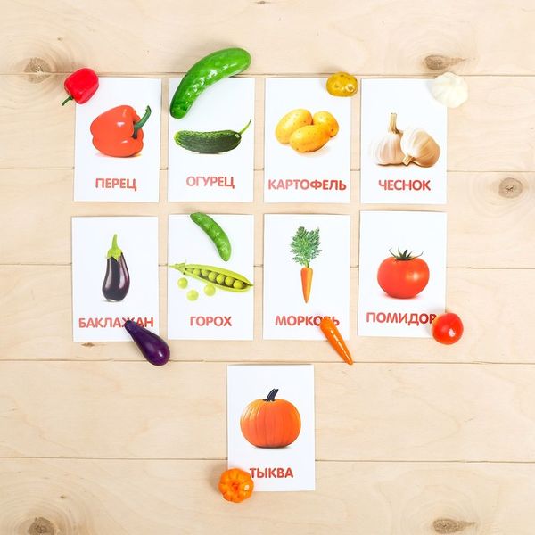 ZABIAKA Обучающий набор по методике Г. Домана Овощи: 9 карточек + 9 овощей   4096684