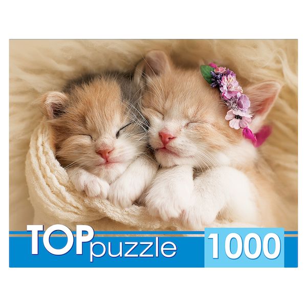 TOPpuzzle. ПАЗЛЫ 1000 элементов. ГИТП1000-2142 Два спящих котенка