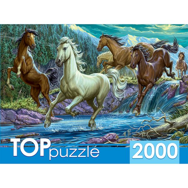 TOPpuzzle. ПАЗЛЫ 2000 элементов. ХТП2000-1594 Ночной табун лошадей (Вид 1)