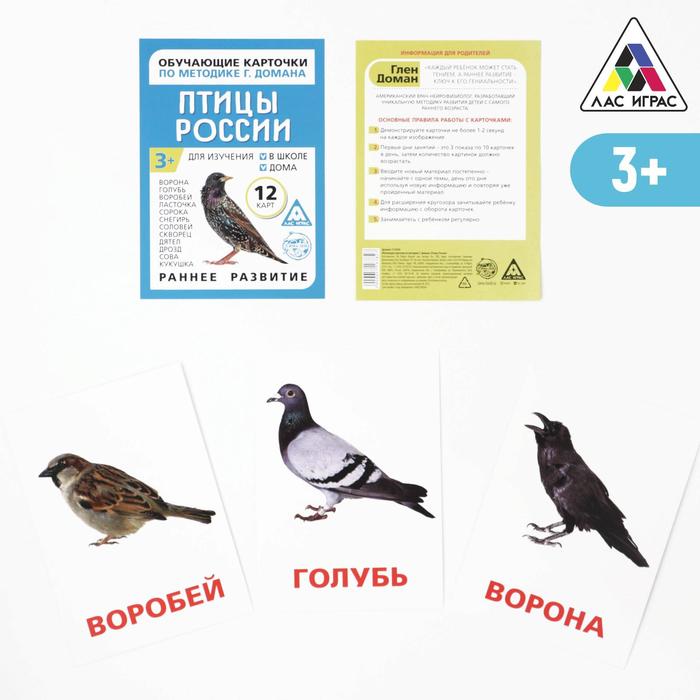 Обучающие карточки по методике Г. Домана Птицы России, 3+ 1716782