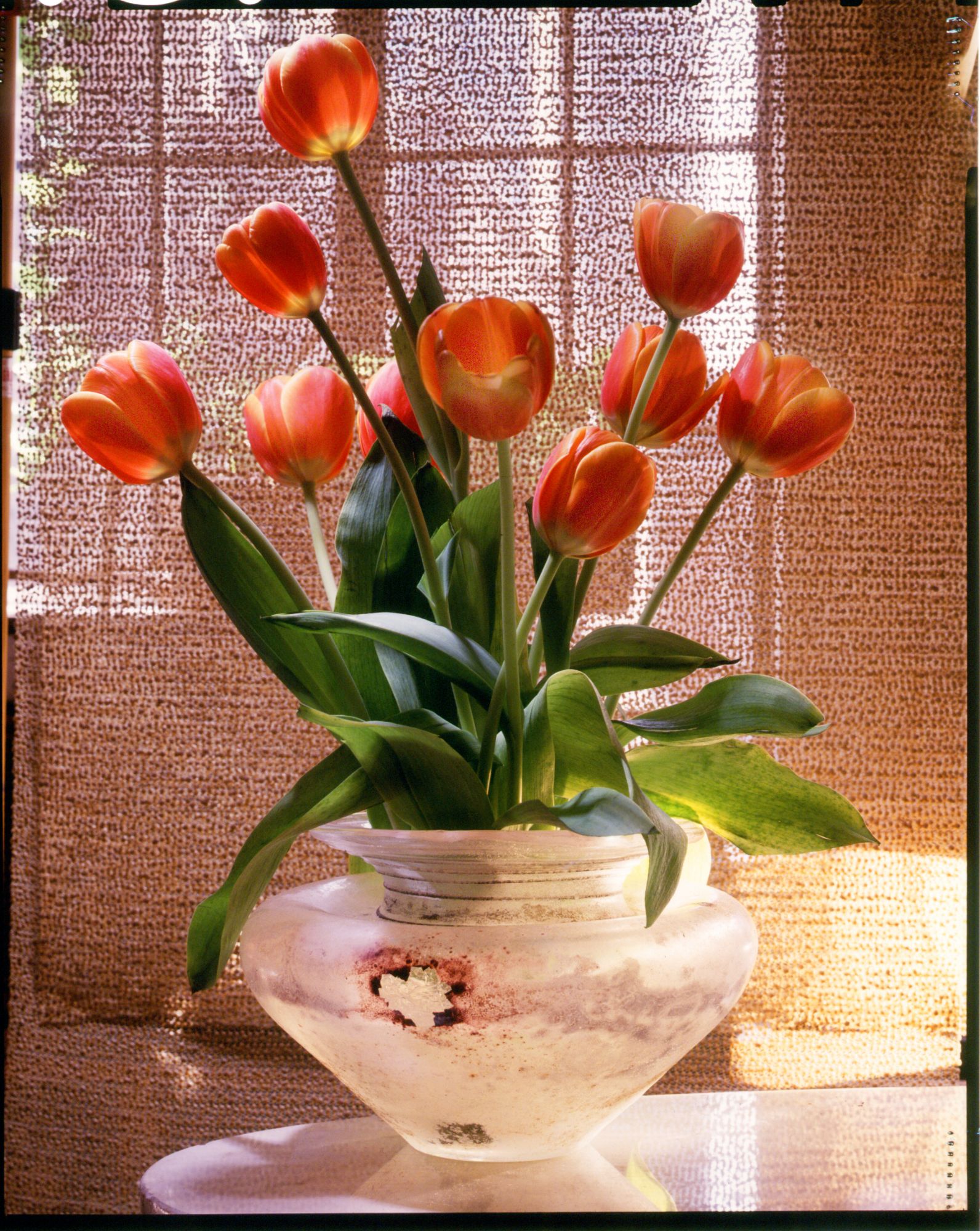 Набор ДТ Алмазная мозаика Тюльпаны у окна 30*40см WFC069 (Вид 1)