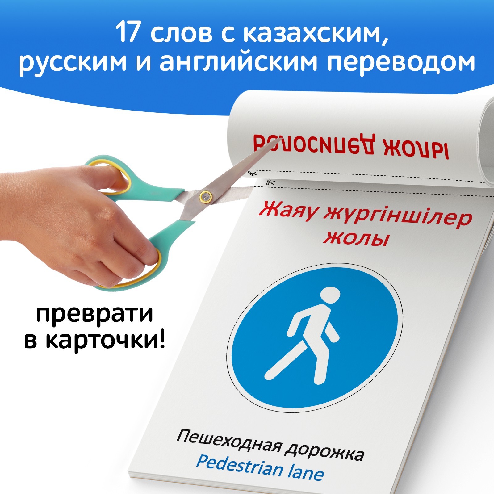 Книга по методике Г. Домана Дорожные знаки, на казахском языке 9828792 (Вид 4)
