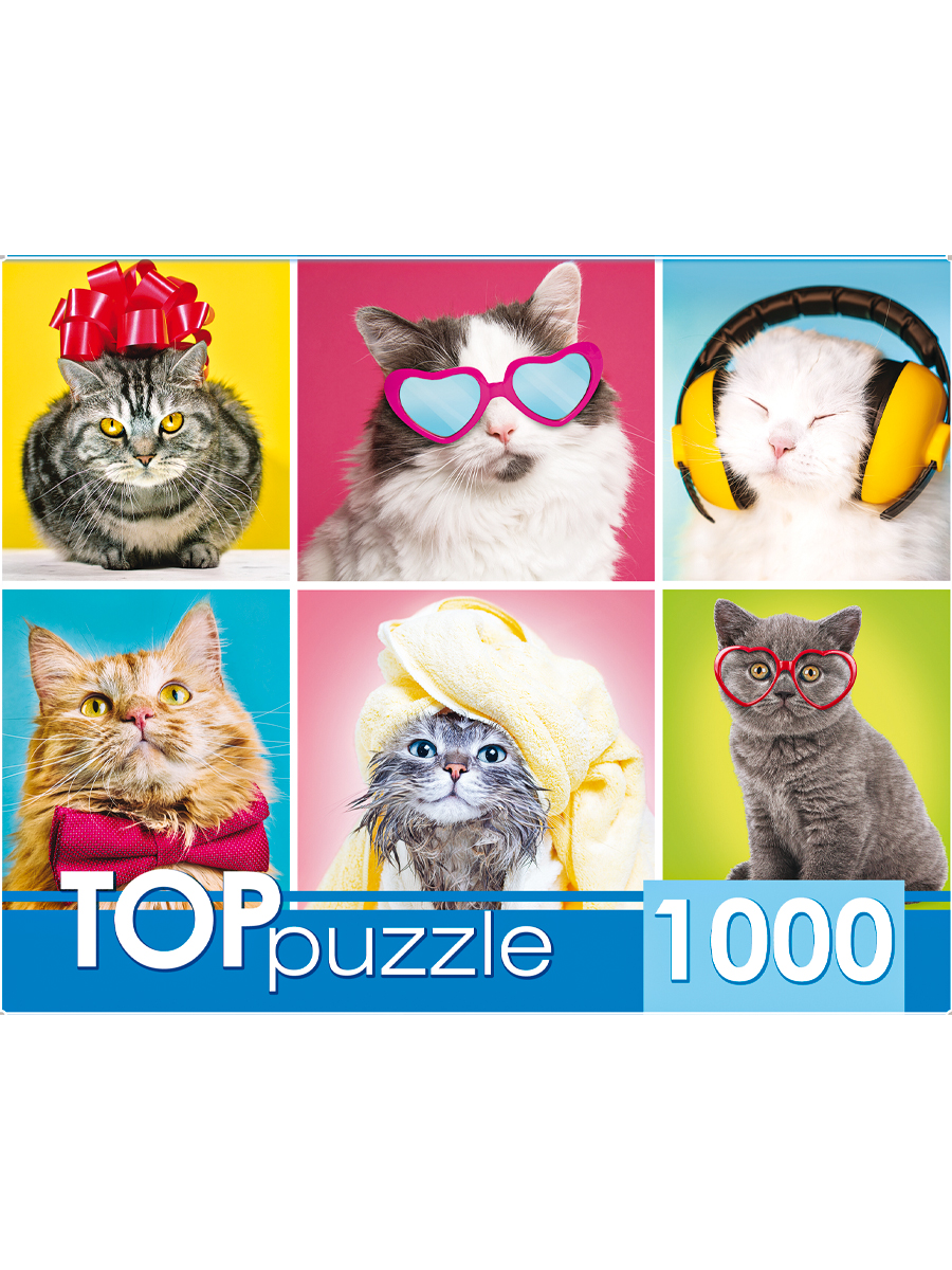 TOPpuzzle. ПАЗЛЫ 1000 элементов. ГИТП1000-4138 Смешные котята