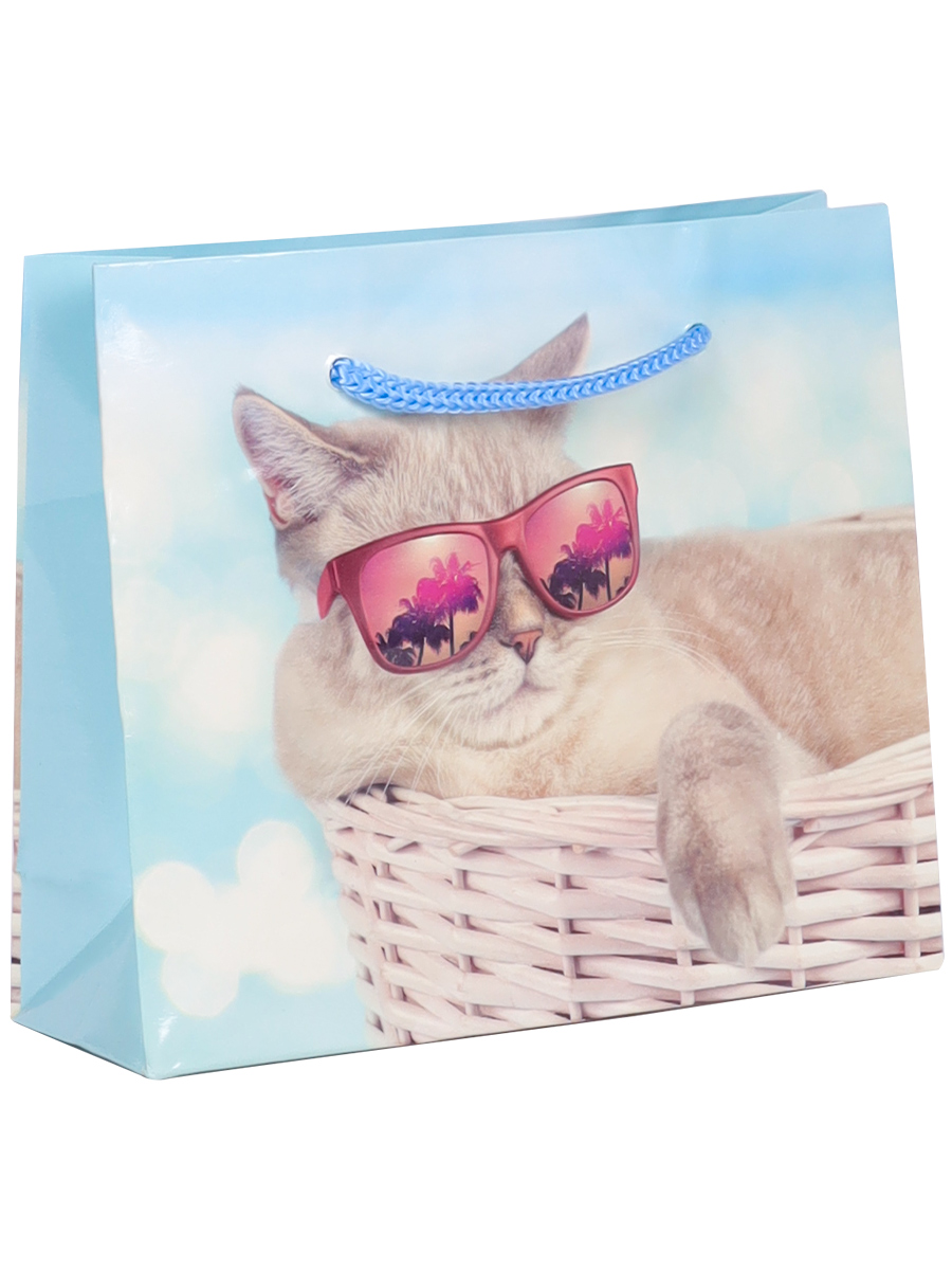 Пакет подарочный с глянц. лам. (горизонтальный)  61х46х20 см  (XXXL) Котик на отдыхе, 157г  ППК-7565 (Вид 1)