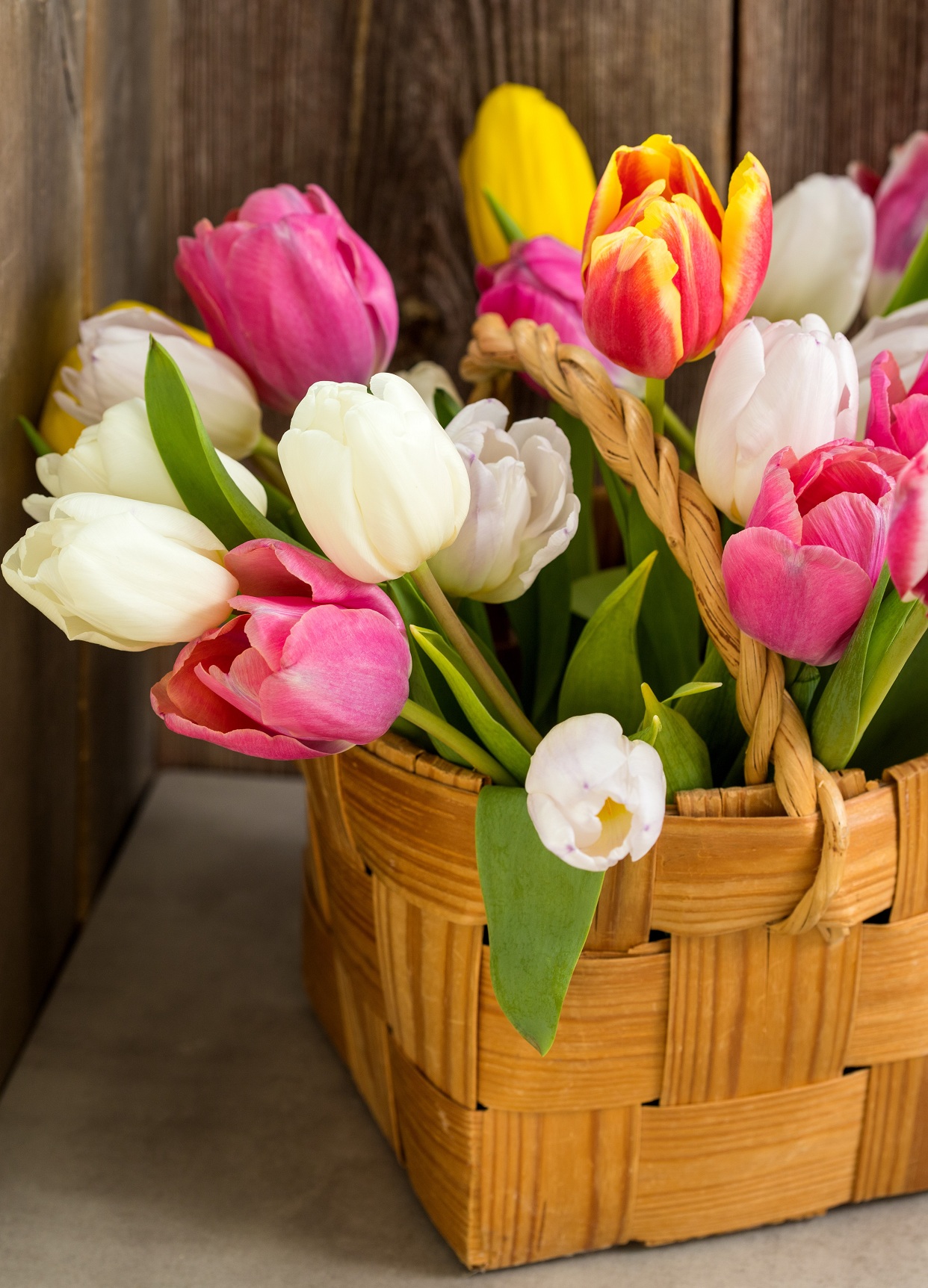 Холст с красками 22х30 см по номерам.  (14 цв)Свежие тюльпаны в корзине (Арт. HS615)