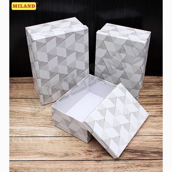 Набор прямоугольных коробок 3 в 1 Геометрия (19x13x7,5 - 23x16,5x9,5 см) ППК-1308 (Вид 1)