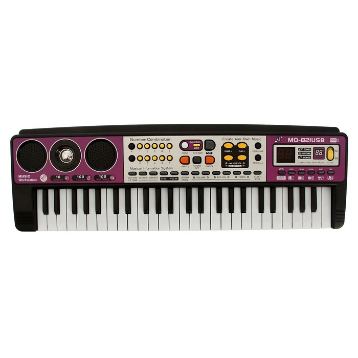 ZABIAKA Синтезатор 49 клавиш, c USB №SL-00549C 727119 (Вид 2)