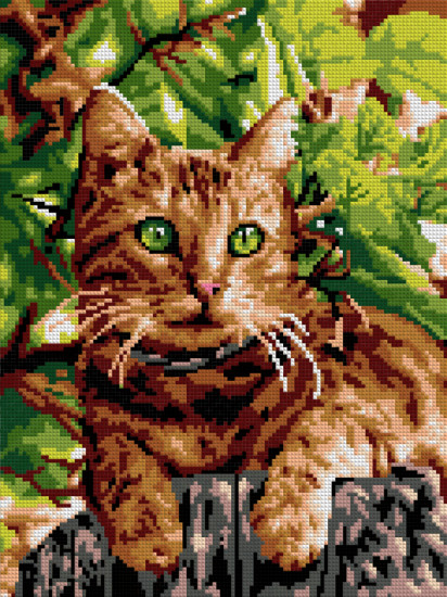 Ам-070 Алмазная мозаика 30*40 см (полное заполнение) Зеленоглазый котик