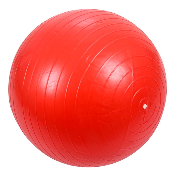 Мяч для фитнеса 55 см. 141-21-59 (Вид 1)