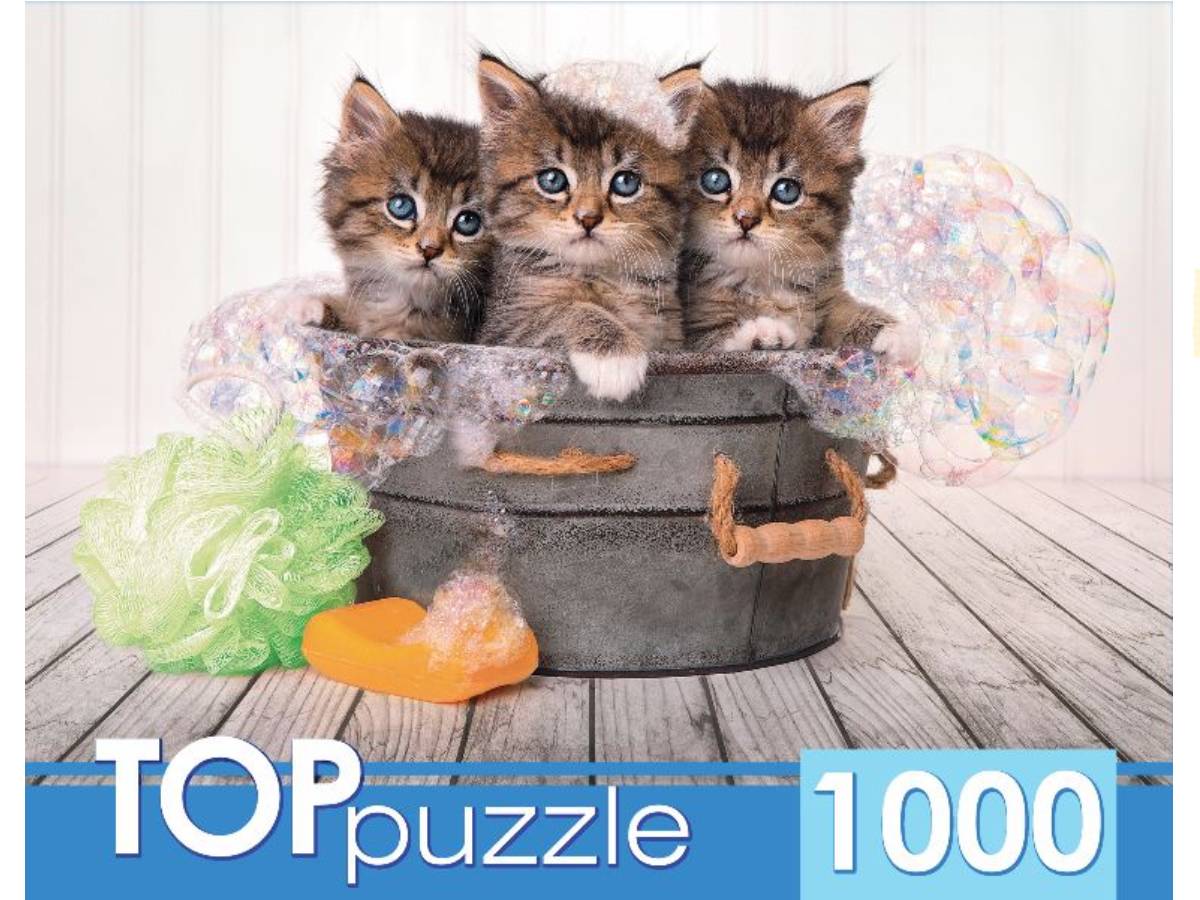 TOPpuzzle. ПАЗЛЫ 1000 элементов. ШТТП1000-7182 Три голубоглазых котёнка (Вид 1)