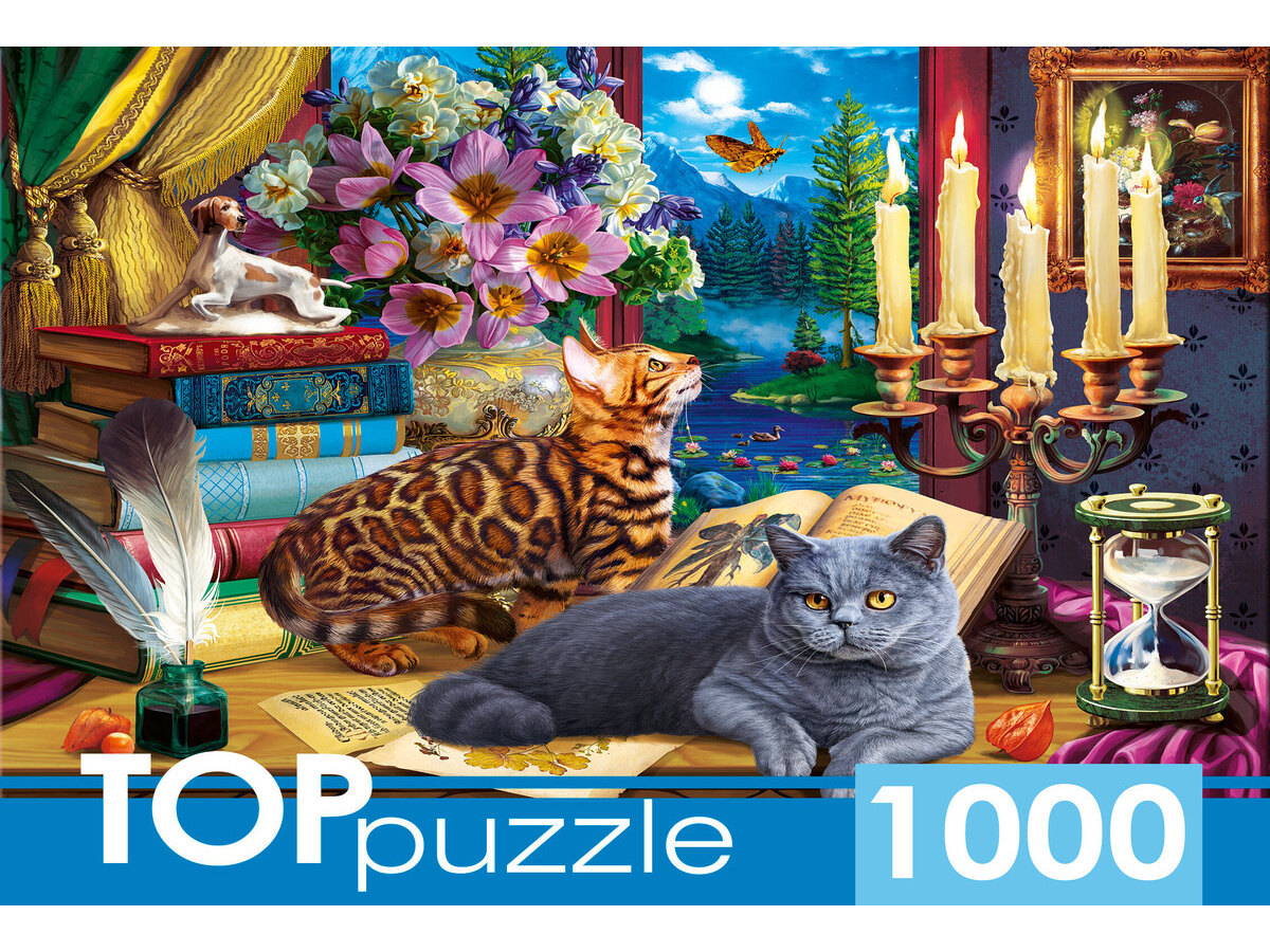 TOPpuzzle. ПАЗЛЫ 1000 элементов. ФТП1000-9852 Коты у ночного окна (Вид 1)