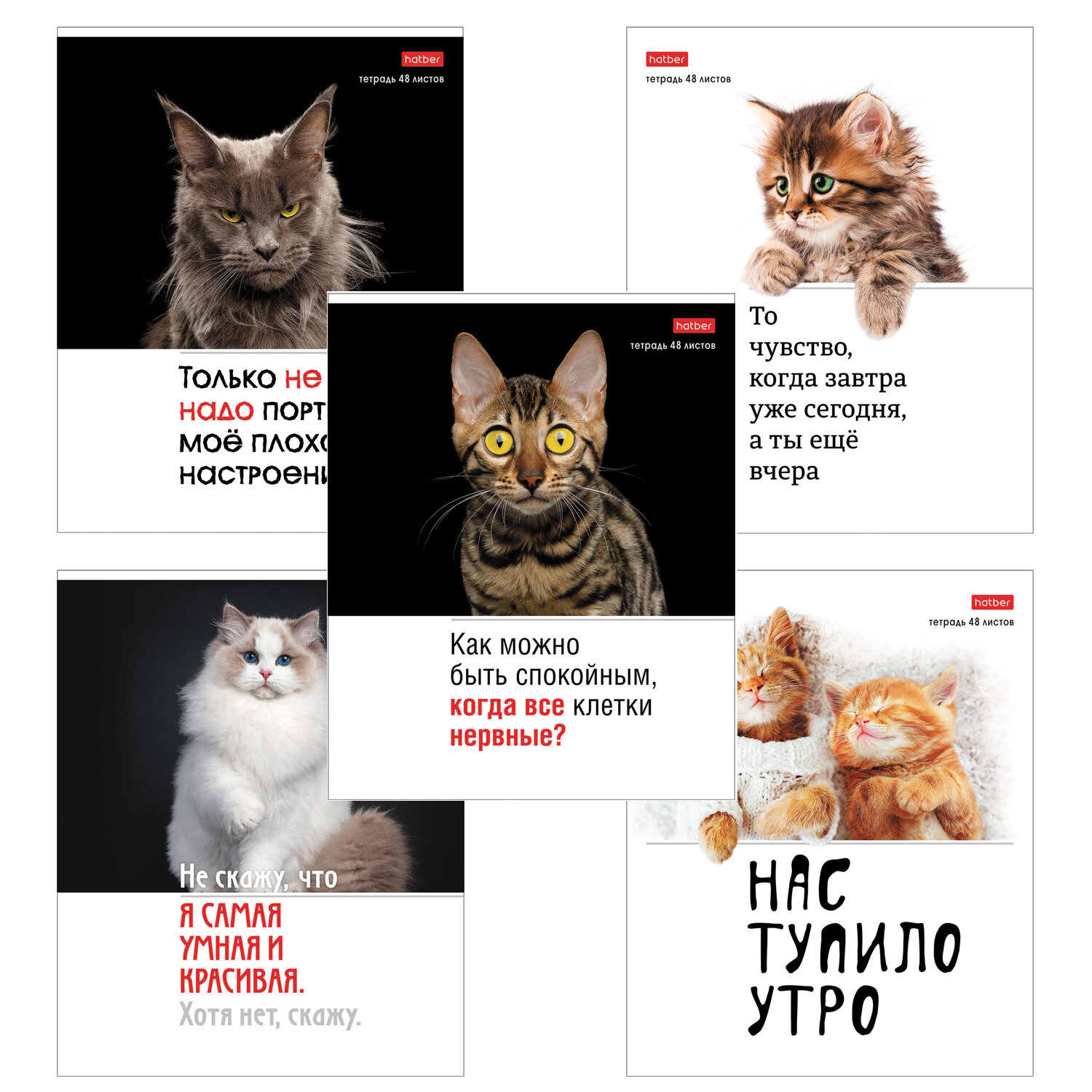 Тетрадь А5 48л. HATBER скоба, клетка, обложка картон, Котоюмор (микс в спайке), 079790