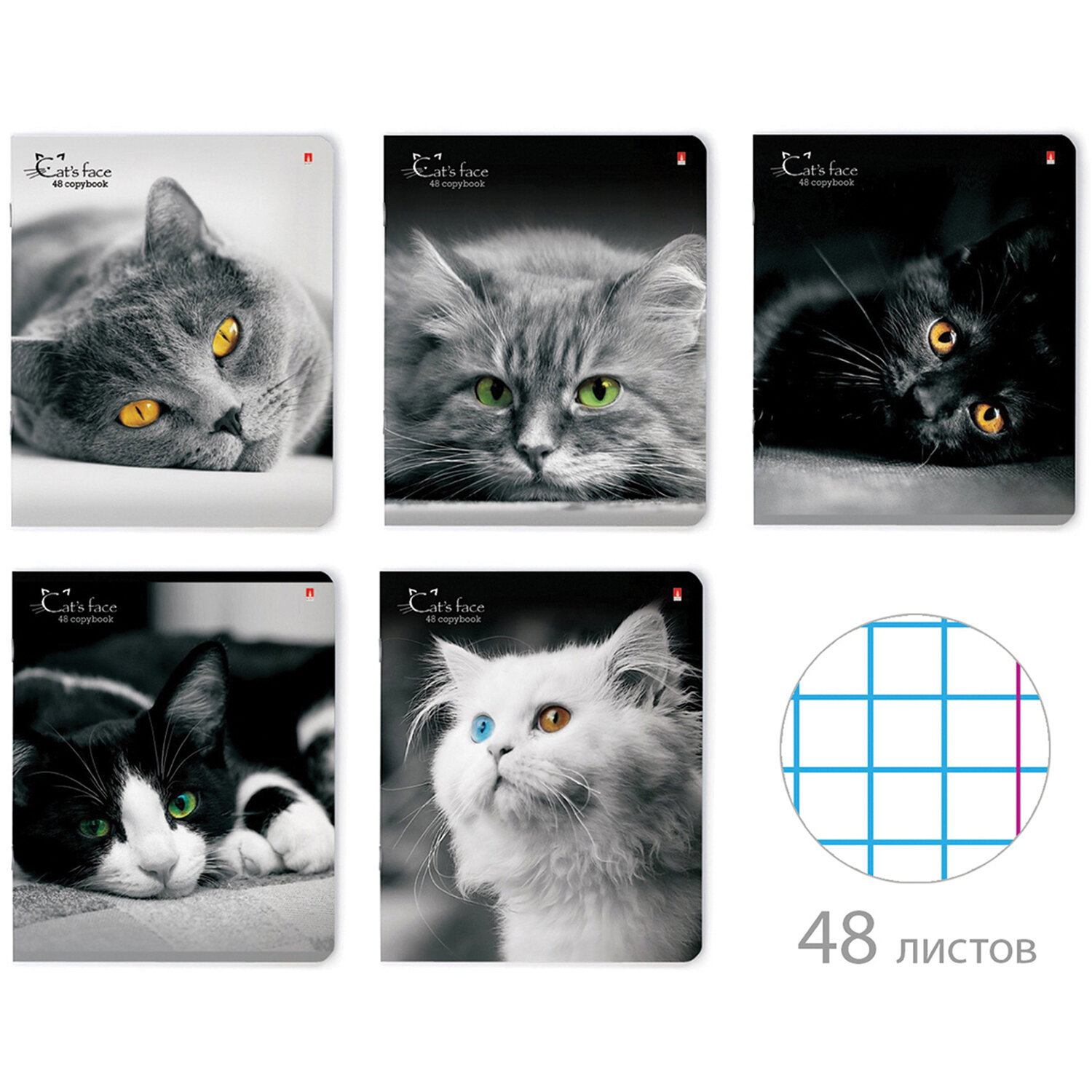 Тетрадь А5 48л. АЛЬТ скоба, клетка, глянцевый лак, Кошки. Яркий взгляд (5 видов), 7-48-1019