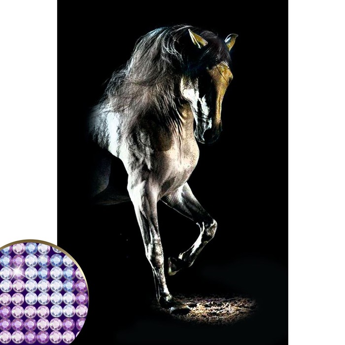 Алмазная вышивка с частичным заполнением Грациозная лошадь 20*30 см на холсте   4176751 (Вид 1)