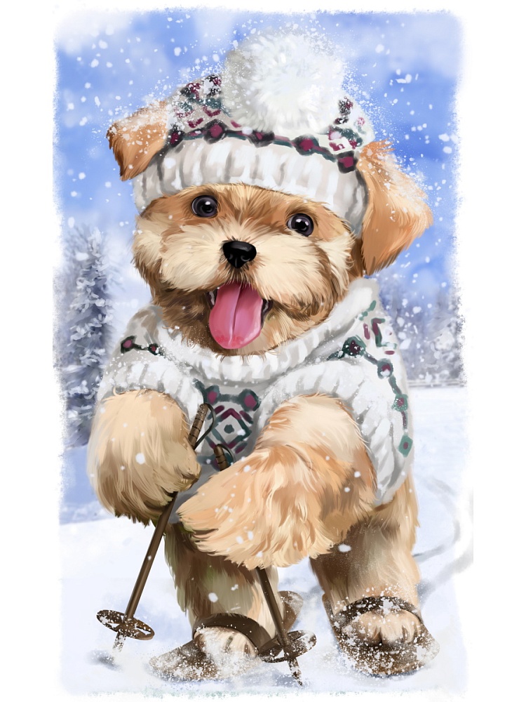 Холст с красками 17х22 см по номерам в коробке (14цв.) Щенок на лыжах (арт. Х-7532)