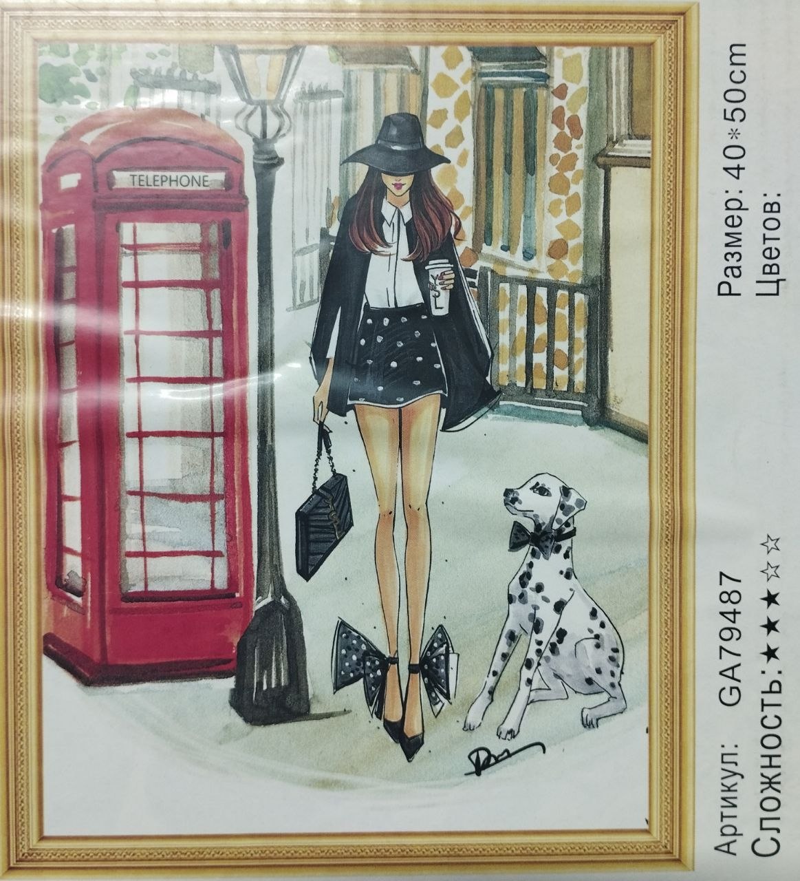 Алмазная мозайка 40х50 арт.GA79487