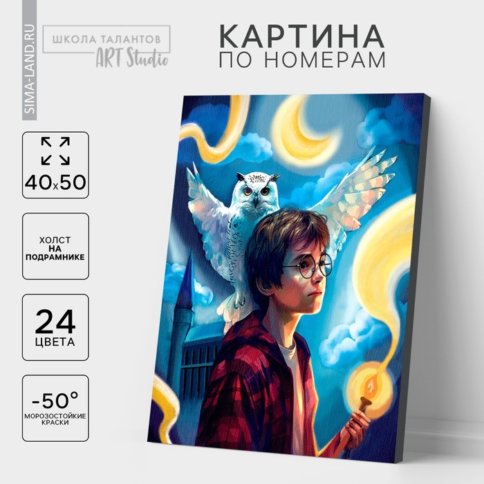 Картина по номерам на холсте Волшебство рядом, 40х50 см 10524524