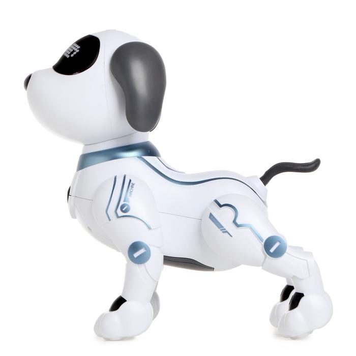 Робот-собака радиоуправляемый Пёс, световые и звуковые эффекты, работает от батареек 5187703 (Вид 2)
