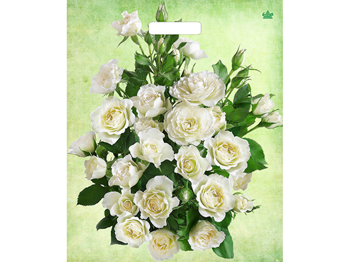 Пакет вырубной Белые розы (45*38 см) н00208105
