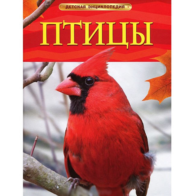 Книга 978-5-353-05766-6 Птицы.Детская энциклопедия.