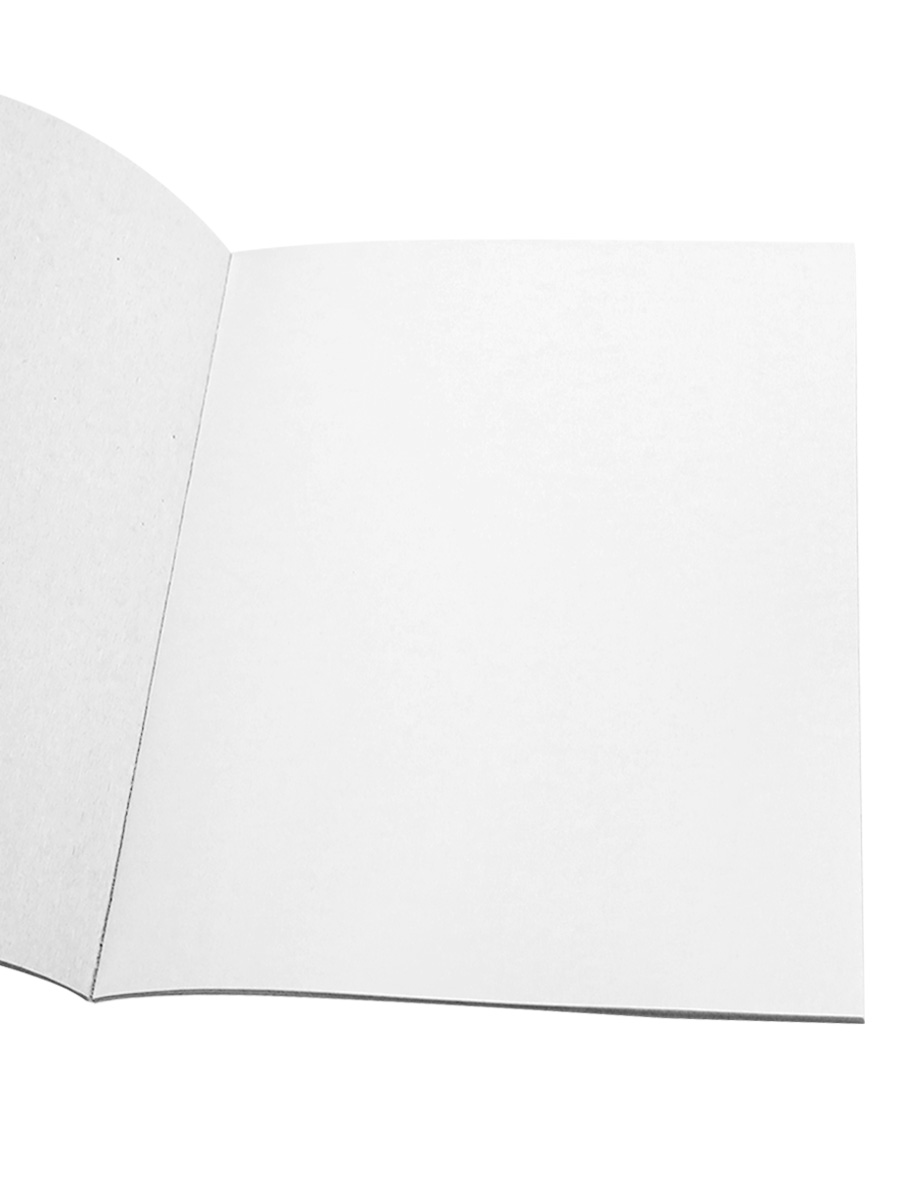 Картон белый А4 10л. СЕМЕЙКА ДИНОЗАВРОВ (10-9084) КБС,10 листов (Вид 3)