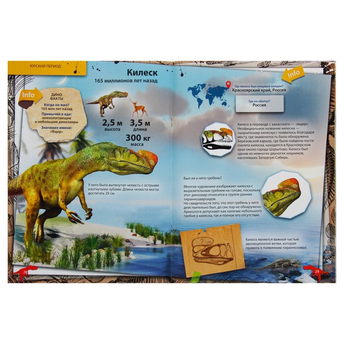 Энциклопедия 4D в дополненной реальности «Динозавры:от птеродактиля до овираптора» А4 мяг об 3775648 (Вид 2)