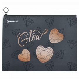 Папка для тетрадей BRAUBERG А4, 1 отделение, пластик, на zip-lock молнии, 272104