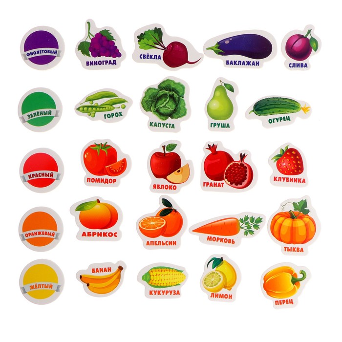 Развивающие магниты Изучаем цвета и овощи-фрукты (набор 25шт)   3622858 (Вид 3)