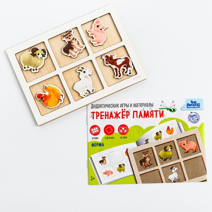 Дидактические игры и материалы. Тренажёр памяти Ферма Д2301 5698331