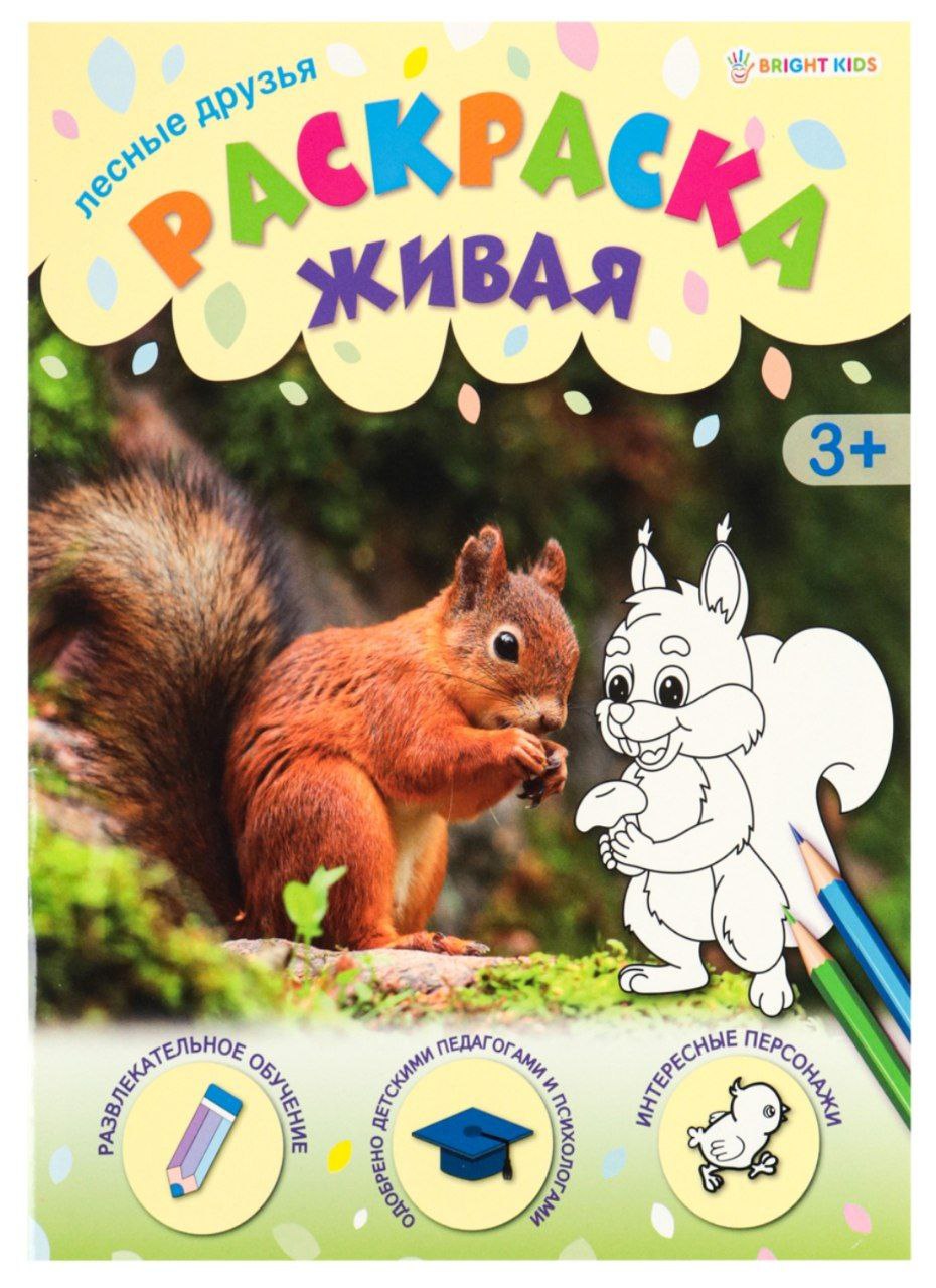 Раскраска А4 ЛЕСНЫЕ ДРУЗЬЯ (Р-0097) 8л, обл.-целл.карт, уф-лак, бл-офс,полноцв, скрепка, 198х260