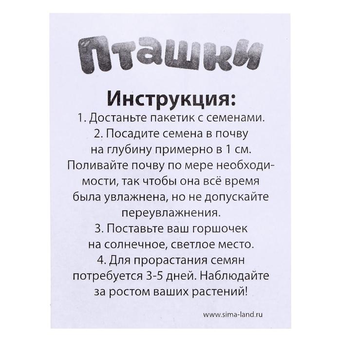 ЭВРИКИ Набор для опытов Пташки, выращиваем травку, фиолетовая, SL-04639   5155390 (Вид 4)