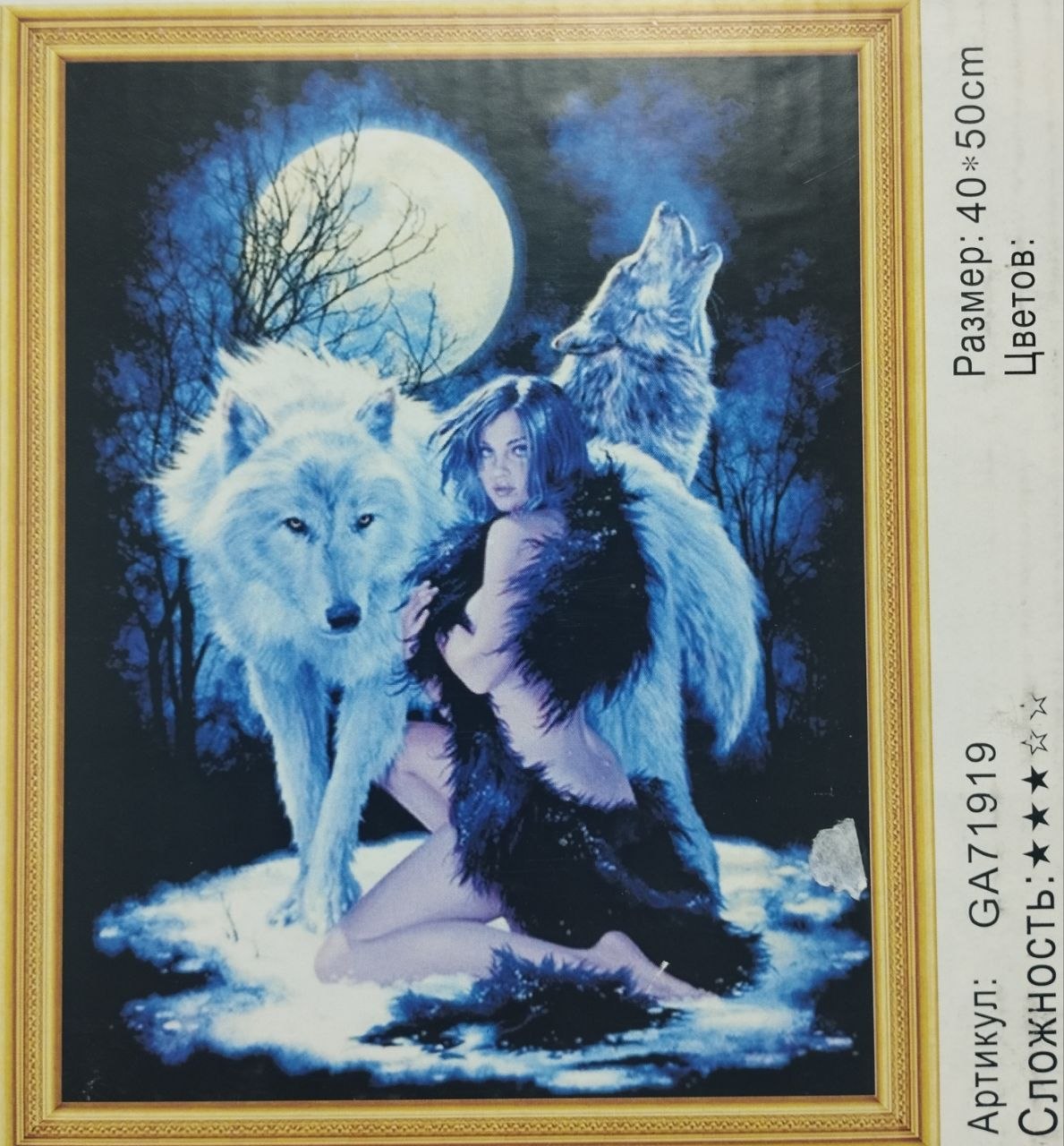 Алмазная мозайка 40х50 арт.GA71919