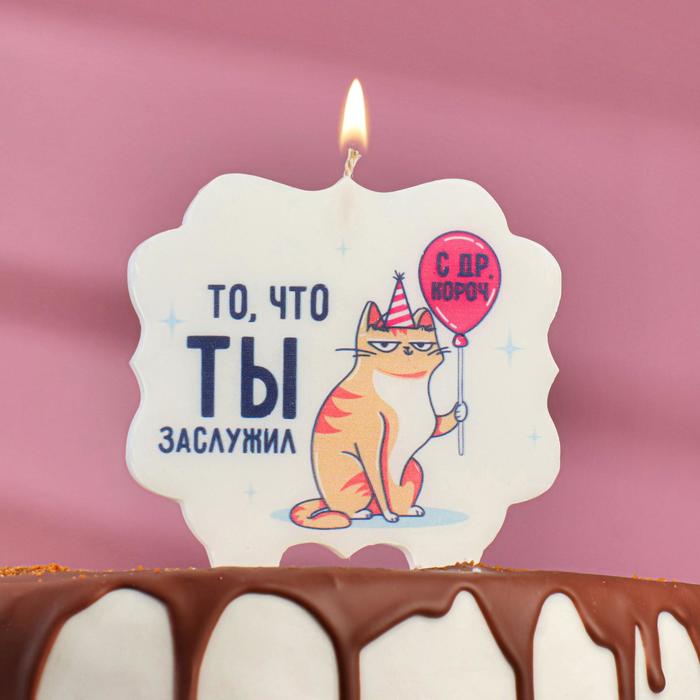 Свеча для торта «С Днём Рождения, котик, то, что ты заслужил», 10×10 см 5278384