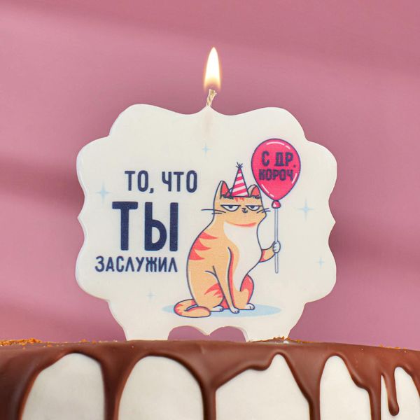 Свеча для торта «С Днём Рождения, котик, то, что ты заслужил», 10×10 см 5278384 (Вид 3)