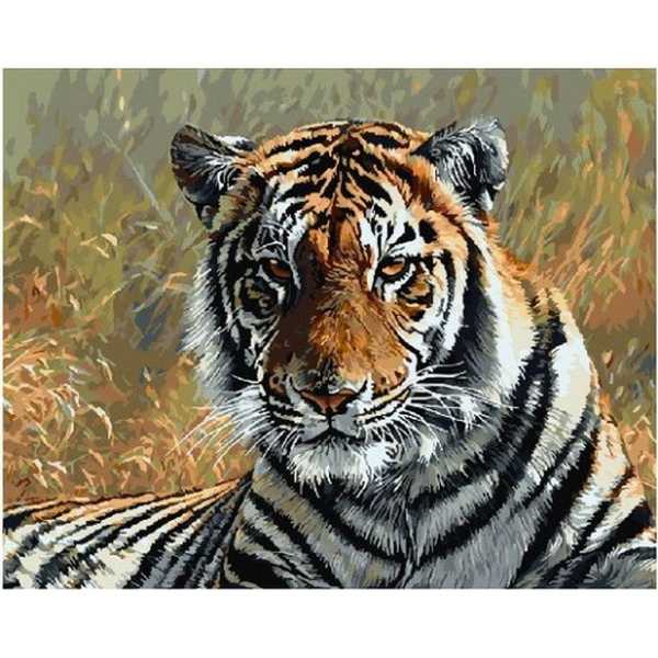 Картина по номерам  Тигр в траве 40х50 см