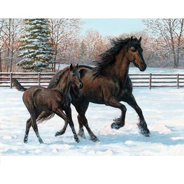 Картина по номерам  Лошадь с жеребенком в загоне,  40х50 см