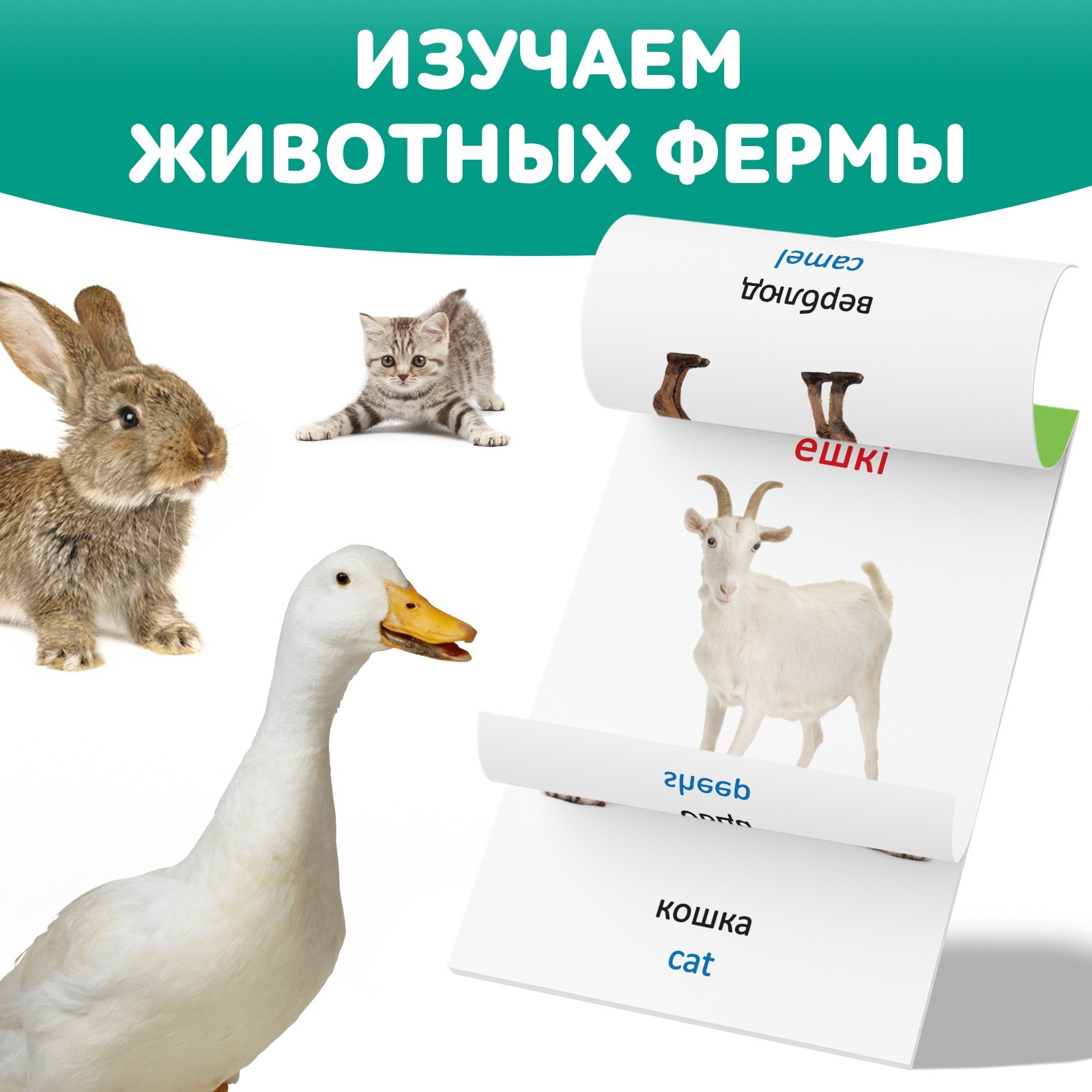 Книга по методике Г. Домана Животные фермы, на казахском языке 9828793 (Вид 3)