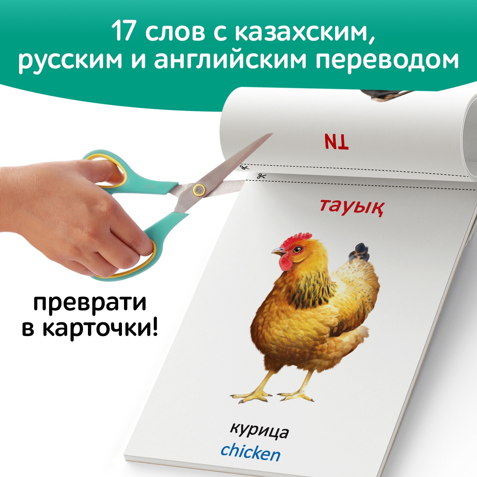 Книга по методике Г. Домана Животные фермы, на казахском языке 9828793 (Вид 4)
