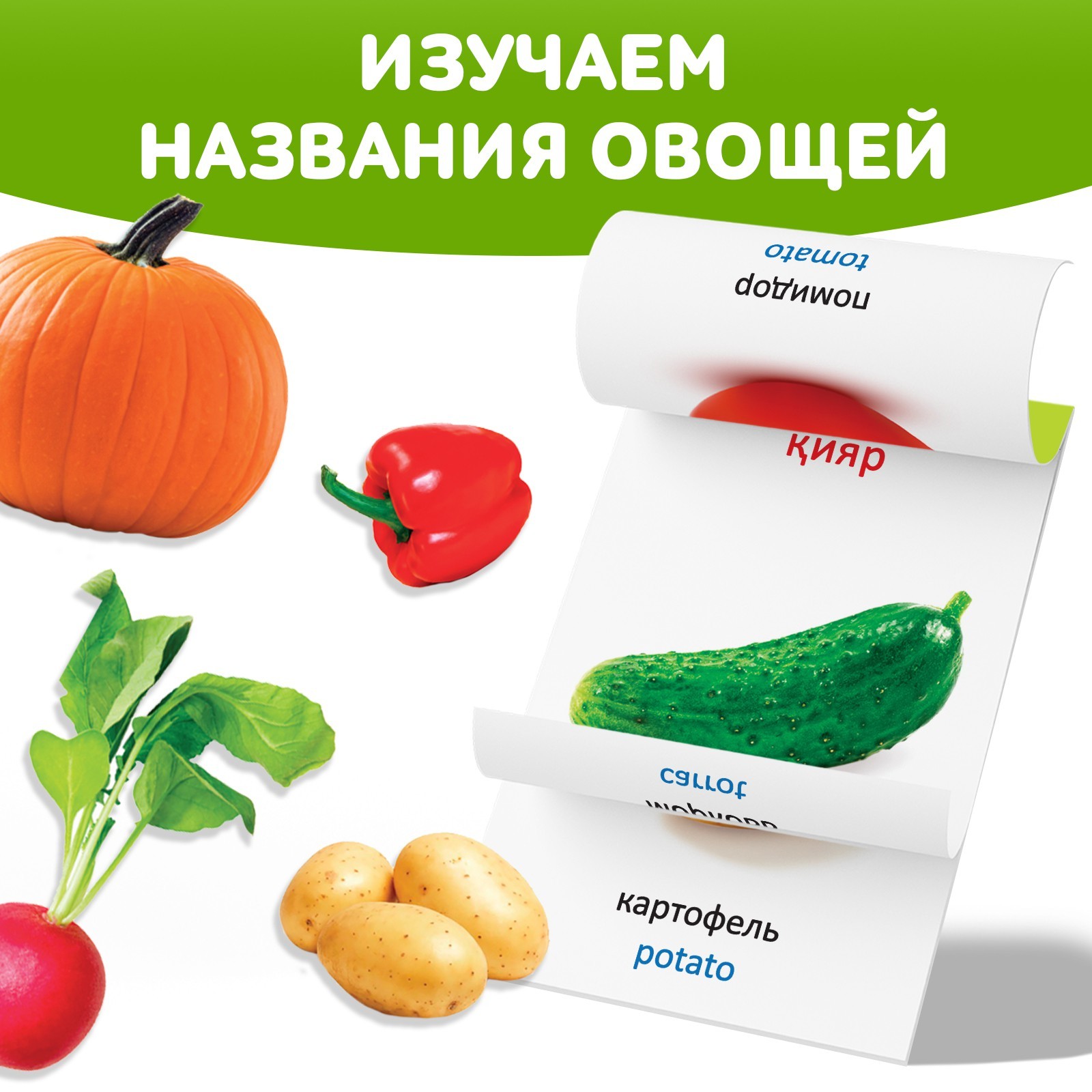 Книга по методике Г. Домана Овощи, на казахском языке 9828796 (Вид 3)
