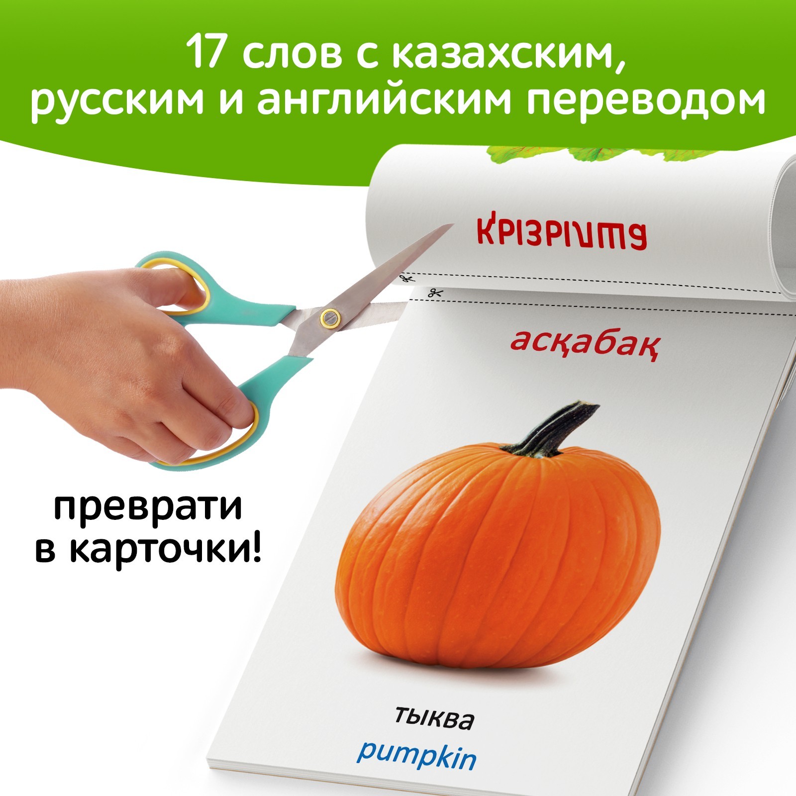 Книга по методике Г. Домана Овощи, на казахском языке 9828796 (Вид 4)