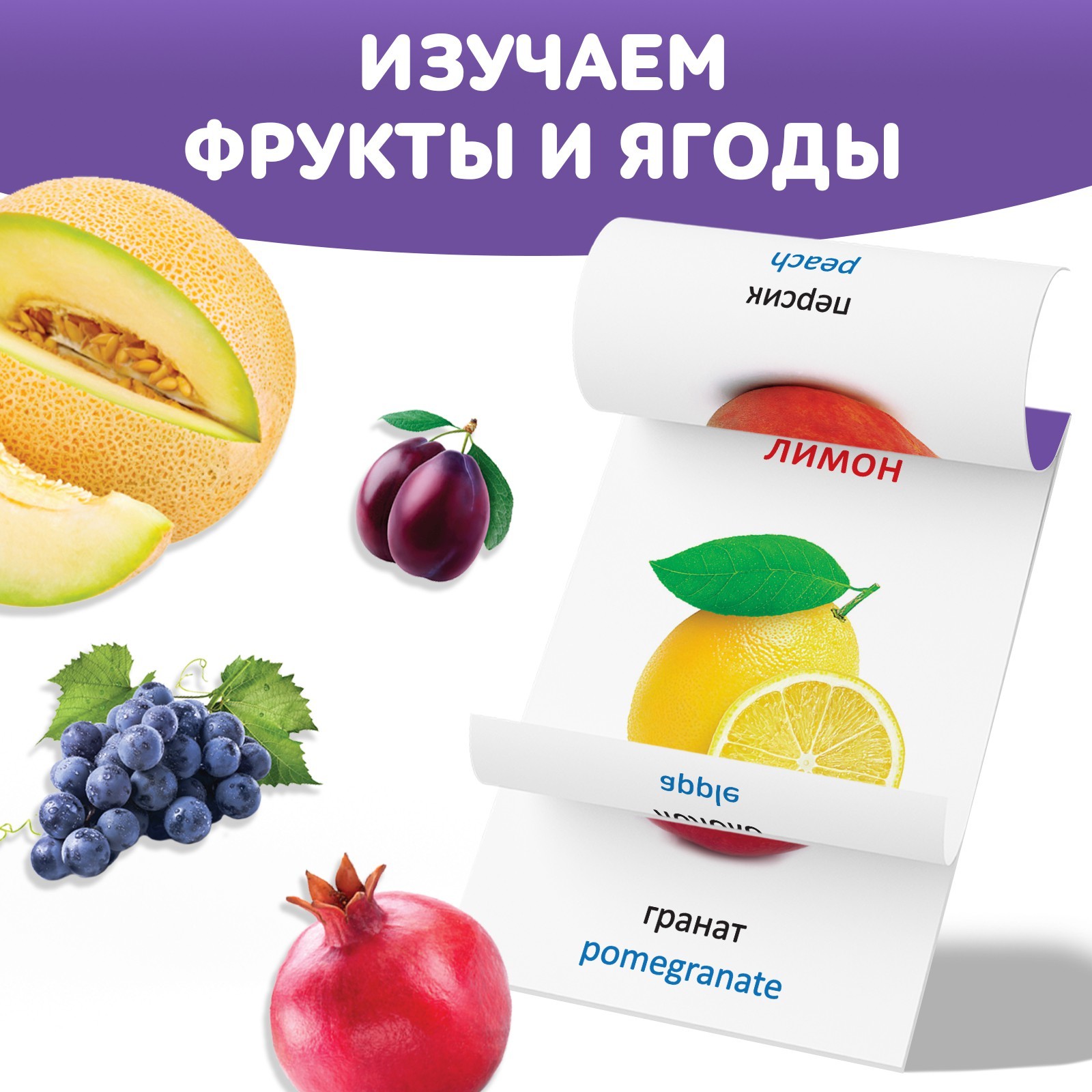 Книга по методике Г. Домана Фрукты и ягоды, на казахском языке 9828797 (Вид 3)