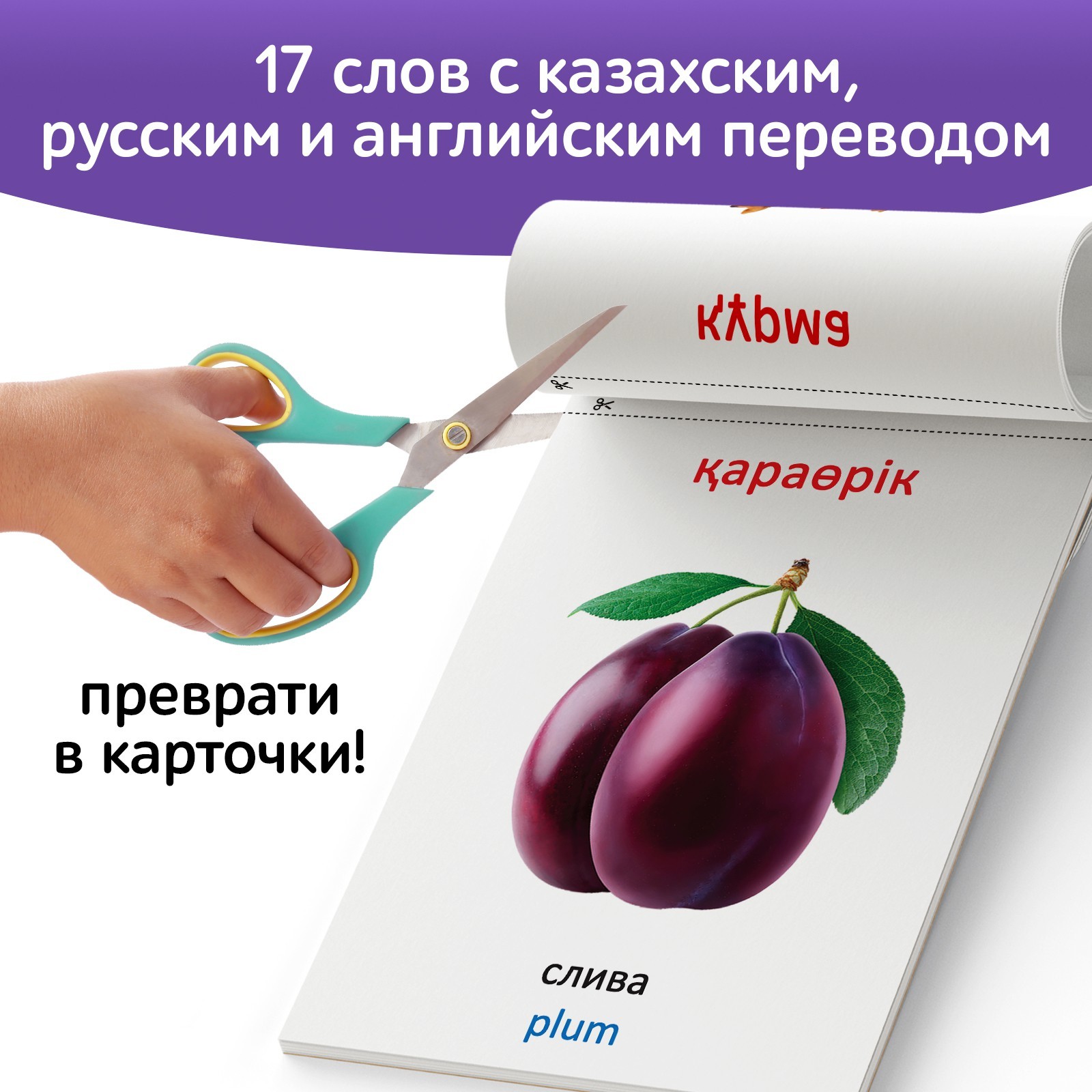 Книга по методике Г. Домана Фрукты и ягоды, на казахском языке 9828797 (Вид 4)