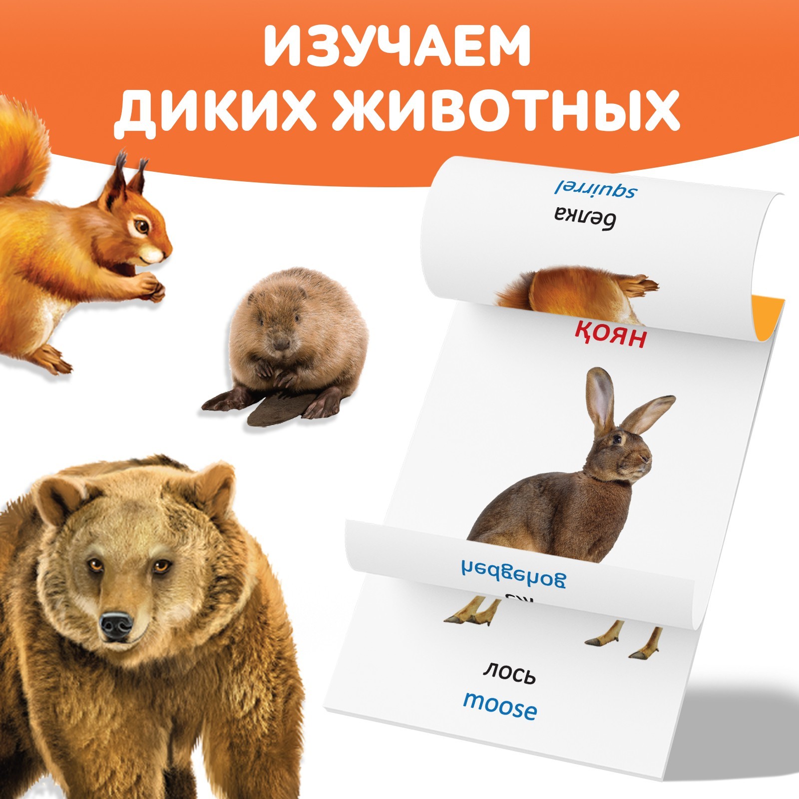 Книга по методике Г. Домана Дикие животные, на казахском языке 9828798 (Вид 3)