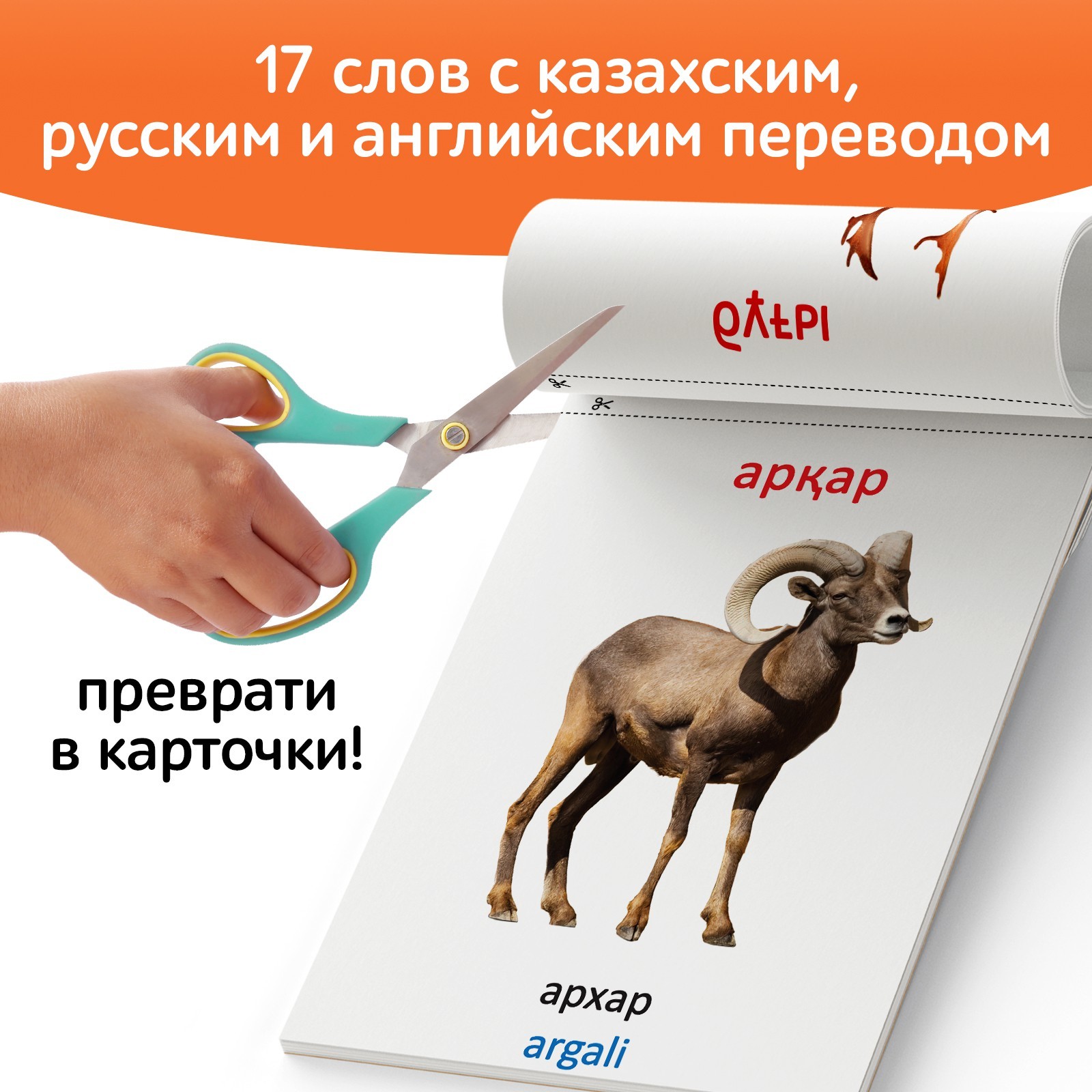 Книга по методике Г. Домана Дикие животные, на казахском языке 9828798 (Вид 4)