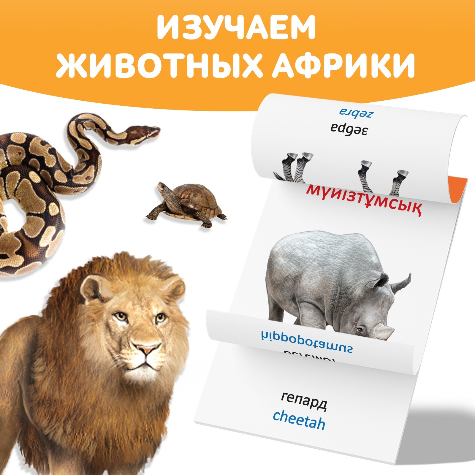 Книга по методике Г. Домана Животные Африки, на казахском языке 9828799 (Вид 3)