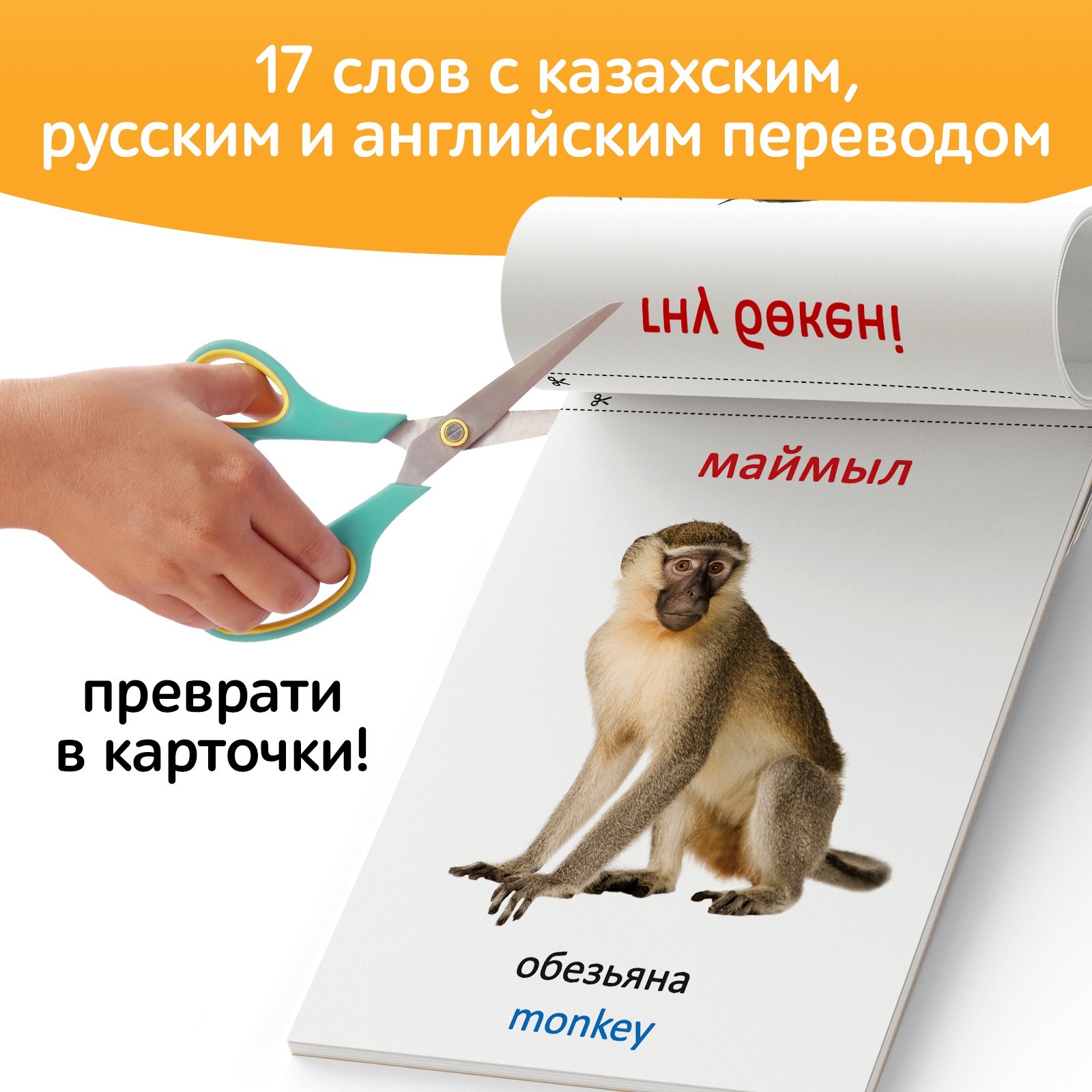 Книга по методике Г. Домана Животные Африки, на казахском языке 9828799 (Вид 4)