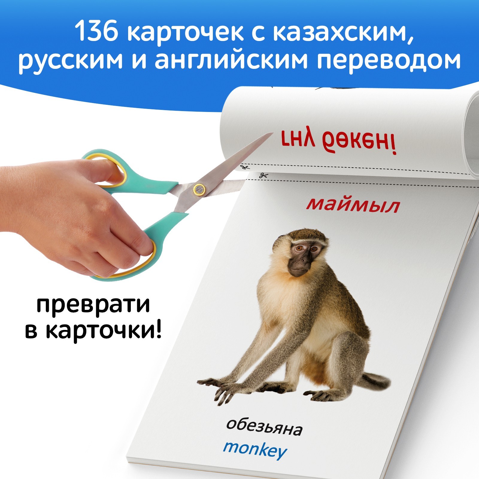 Набор книг по методике Г. Домана на казахском языке, 8 шт. 9828800 (Вид 4)